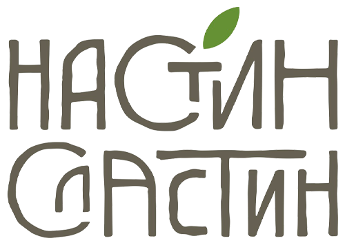 Настин Сластин